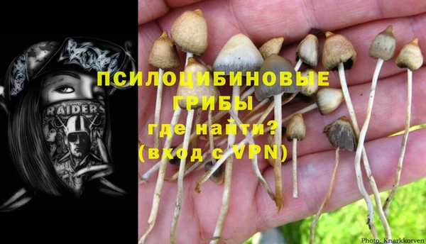 a pvp Верея