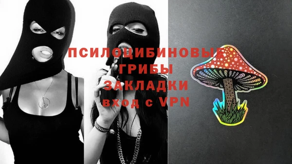 apvp Волосово